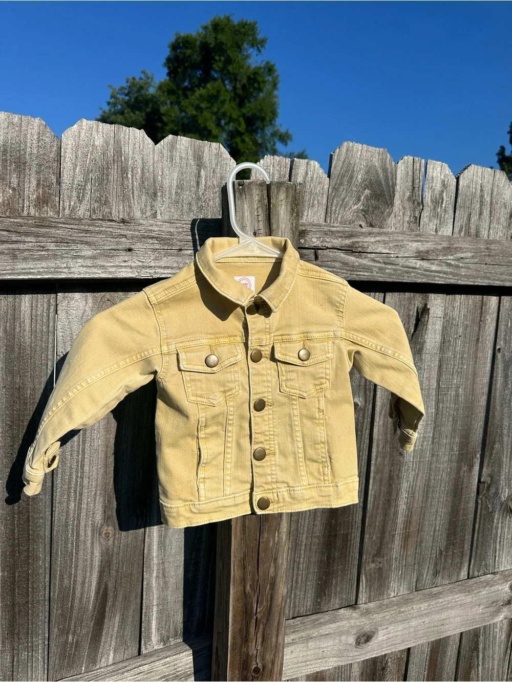 Wonder nation Kids Denim Jacket with Clifford